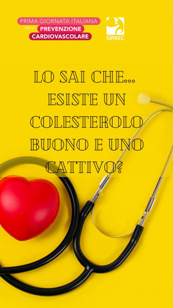 Lo sai che… esiste un colesterolo buono e uno cattivo?