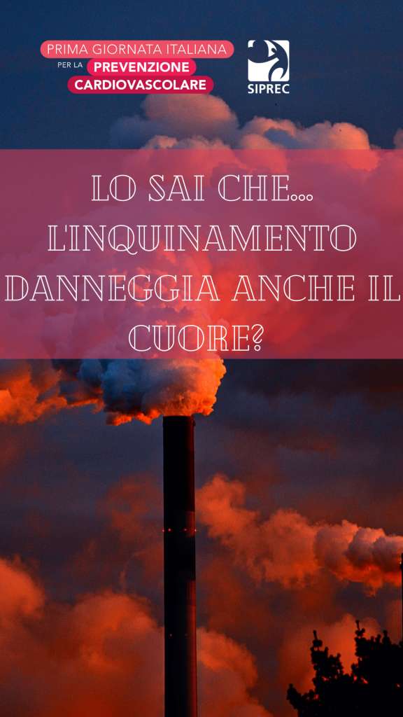 Lo sai che... l'inquinamento danneggia anche il cuore?