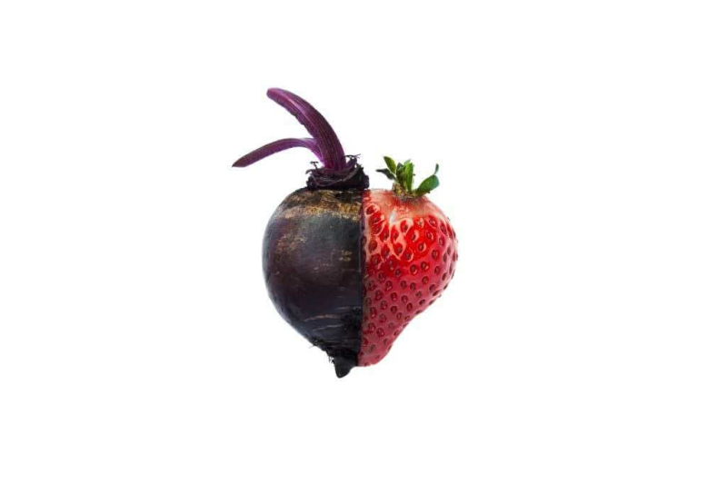 premio-marcello-santoro 023