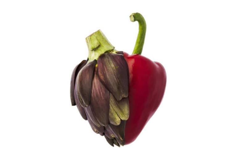 premio-marcello-santoro 025