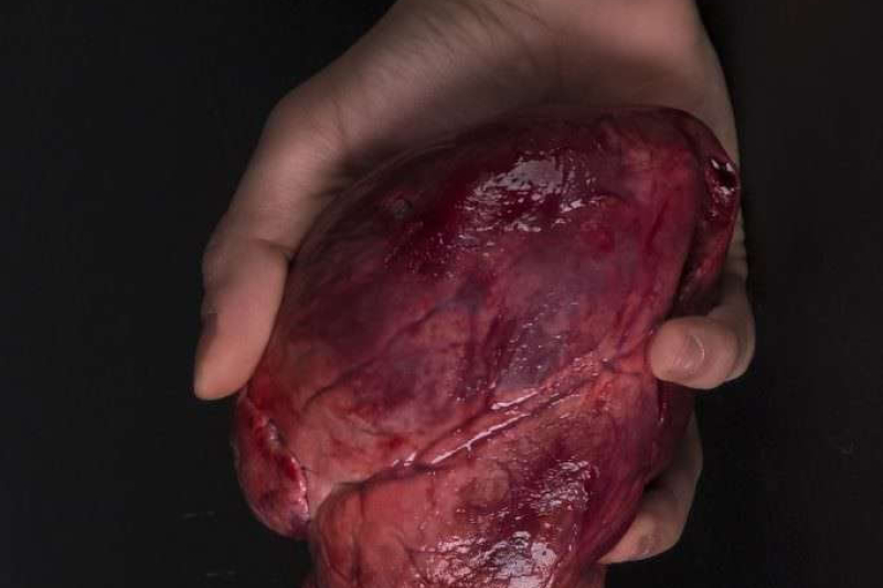 premio-marcello-santoro 034