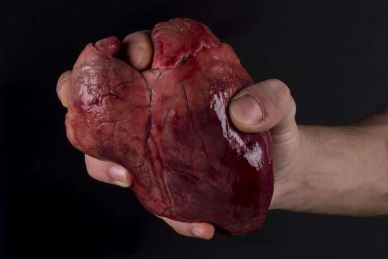 premio-marcello-santoro 035