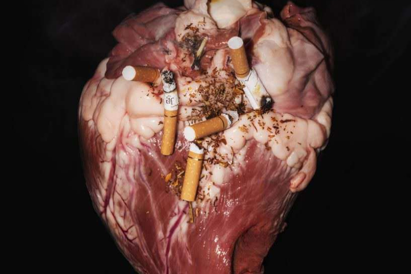 premio-marcello-santoro 039