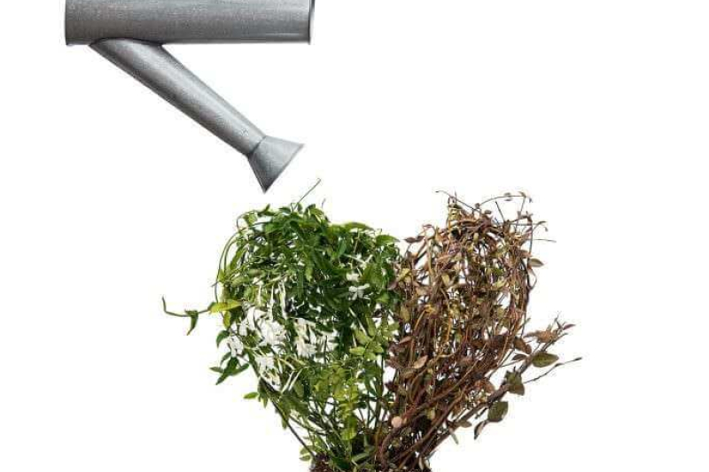 premio-marcello-santoro 045