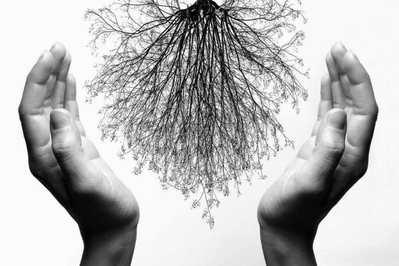 premio-marcello-santoro 047