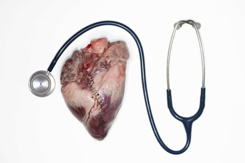 premio-marcello-santoro 051