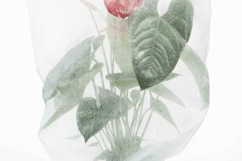 premio-marcello-santoro 052