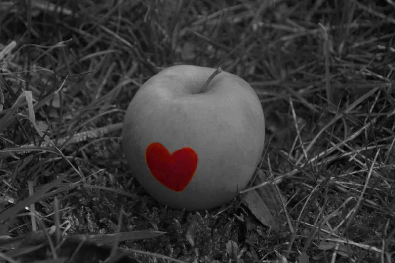 premio-marcello-santoro 053