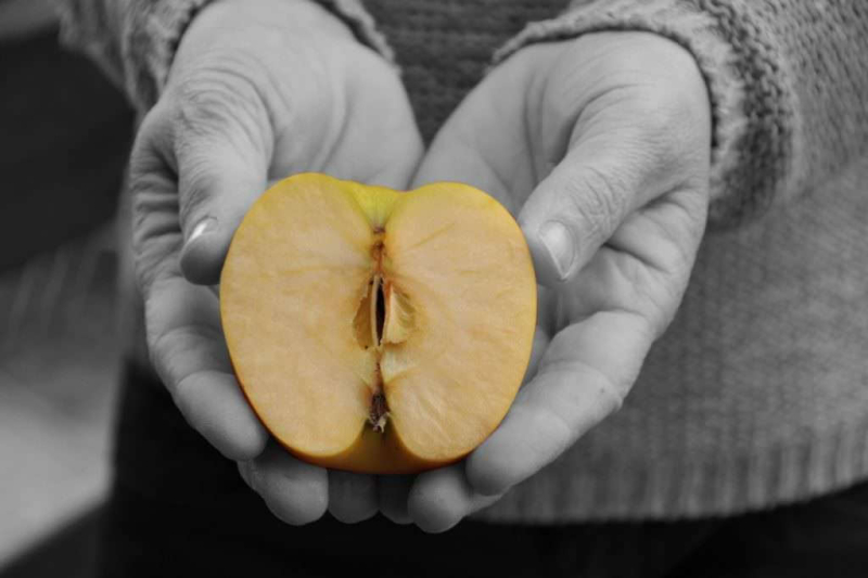 premio-marcello-santoro 054