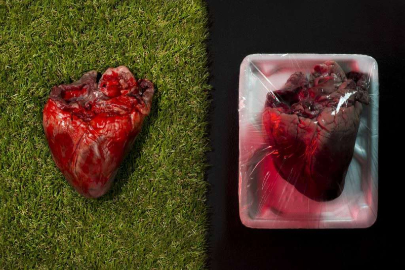 premio-marcello-santoro 058