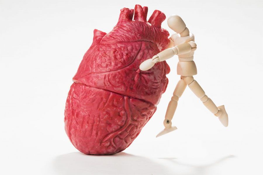 I vincitori del Premio Marcello Santoro 2018