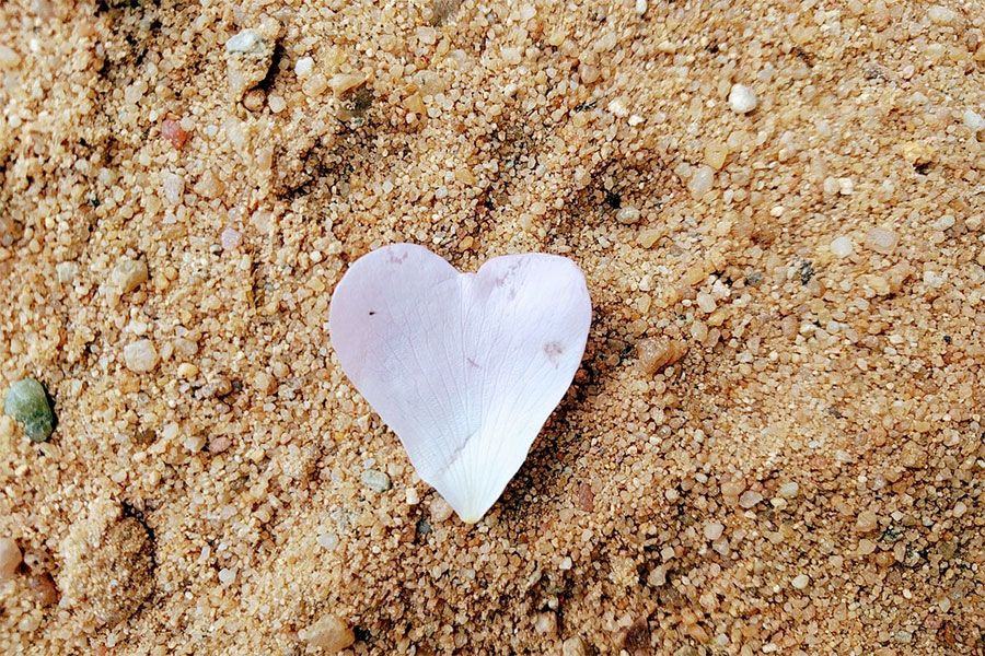 Prevenzione Cardiovascolare – Intervista a Roberto Volpe