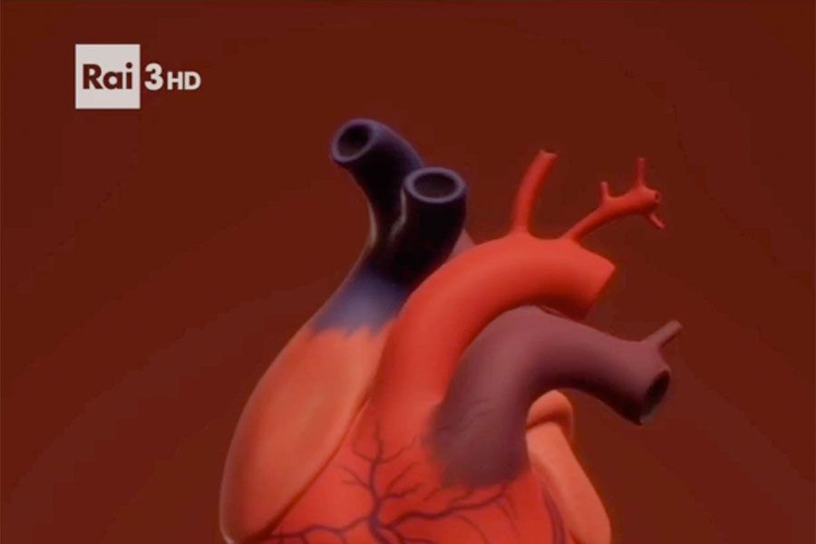 Elisir chiama e Massimo Volpe risponde!